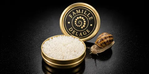 La Boîte Prestige Famille Delage ouverte, l'escargot à côté